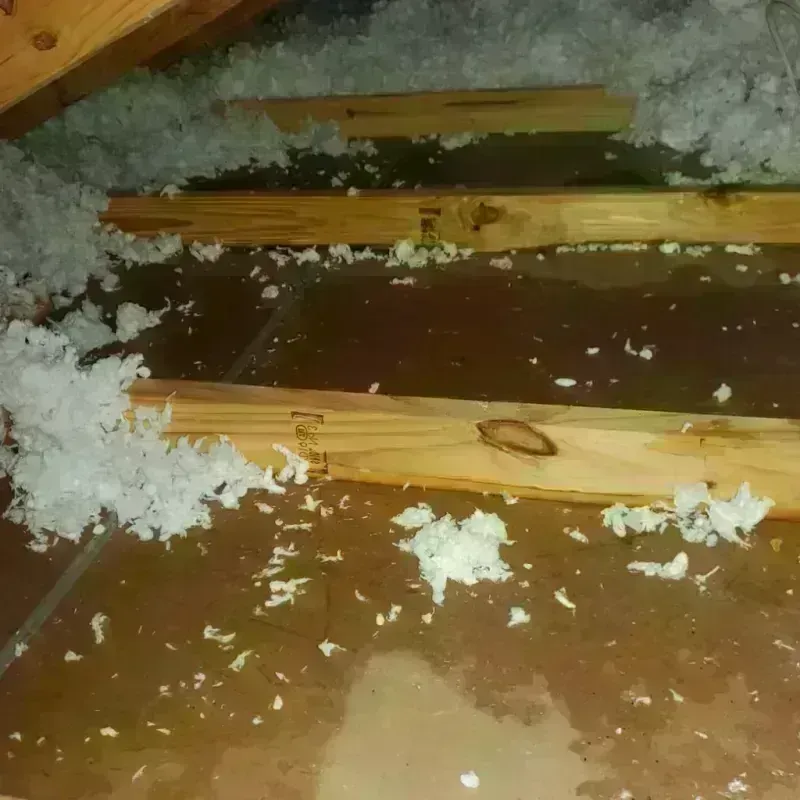 Attic Water Damage in Terre du Lac, MO